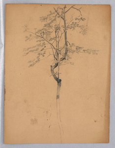aLehdistöjen tutkimus tekijältä William Trost Richards