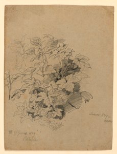 Lehdistöjen tutkimus tekijältä William Trost Richards