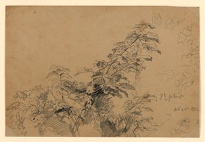 Lehdistöjen tutkimus tekijältä William Trost Richards