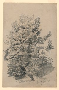 Lehdistöjen tutkimus tekijältä William Trost Richards