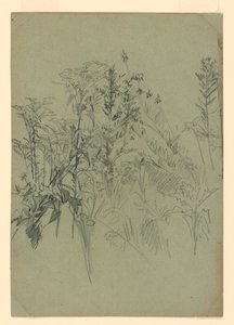 Lehdistöjen tutkimus tekijältä William Trost Richards