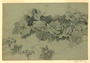 Lehdistöjen tutkimus tekijältä William Trost Richards