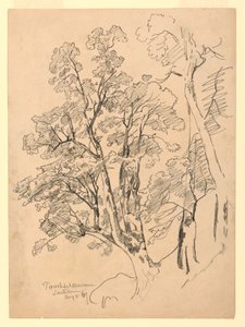 Lehdistötutkimus, Trachselwald, Bern, Sveitsi tekijältä William Trost Richards