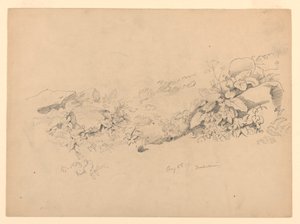 Estudi del fullatge, Trachselwald, Berna, Suïssa finlandès tekijältä William Trost Richards