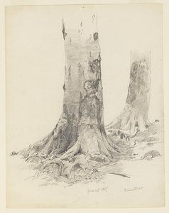 Puunrungot, Darmstadt tekijältä William Trost Richards