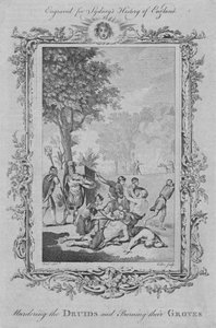 Druidien murhaaminen ja lehtojen polttaminen, 1773.