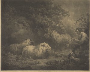 Paimenpoika tekijältä William Ward