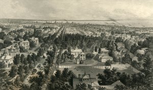 "Buffalon kaupunki", 1872. tekijältä William Wellstood