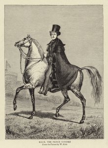 Hänen korkeutensa prinssi Consort tekijältä William Wolfe Alais