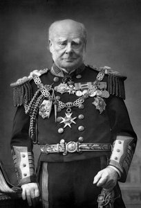 Laivaston amiraali Sir Henry Keppel 1809-1904, 1893. tekijältä William and Daniel Downey