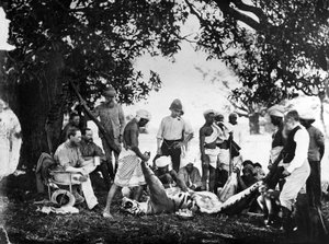 Tiikerin nylkeminen, noin 1870-luku