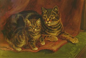 Tabby kissa kissanpennun kanssa tekijältä Wilson Hepple