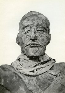 20. dynastian muinaisen Egyptin faaraon Ramses III:n muumion pää, n. 1156 eKr. 1926 tekijältä Winifred Mabel Brunton