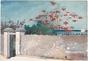 Seinä, Nassau tekijältä Winslow Homer