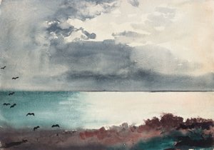 finnish tekijältä Winslow Homer