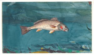  tekijältä Winslow Homer