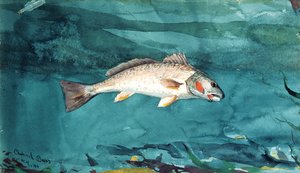 Kanavan basso tekijältä Winslow Homer