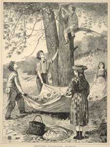 Chestnutting, alkaen Joka lauantai: An Illustrated Journal of Choice Reading, 29. lokakuuta 1870. tekijältä Winslow Homer
