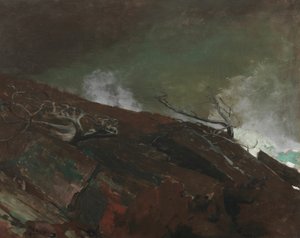 Mainen rannikko, 1893. tekijältä Winslow Homer