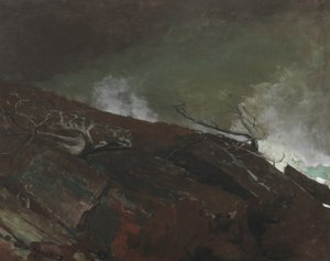 Mainen rannikko, 1893 tekijältä Winslow Homer
