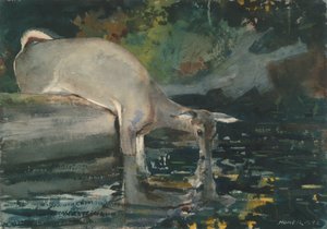 Hirven juominen tekijältä Winslow Homer