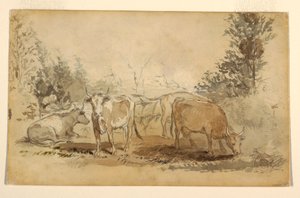 Piirros, Neljä lehmää laiduntamassa laitumella, n. 1855-60. tekijältä Winslow Homer