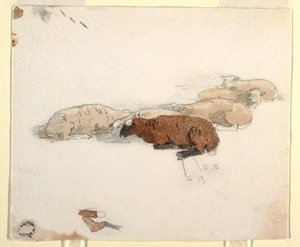 Piirros, Lammas lepää, 1878 tekijältä Winslow Homer