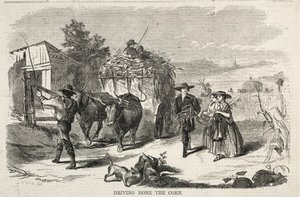 Driving Home the Corn, 1858. tekijältä Winslow Homer