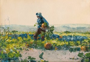 Sillä olla maanviljelijän poika tekijältä Winslow Homer