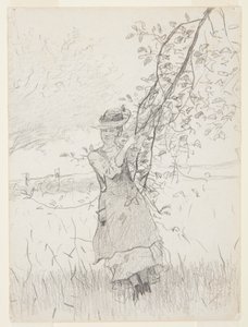 Tyttö pitelee omenapuun oksaa tekijältä Winslow Homer