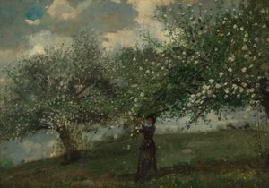 Tyttö poimimassa omenakukkia tekijältä Winslow Homer