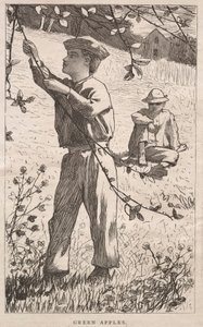 Vihreät omenat tekijältä Winslow Homer