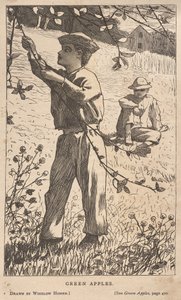 Vihreät omenat tekijältä Winslow Homer