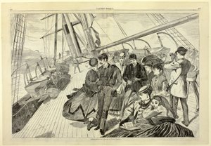 Homeward Bound, Harper