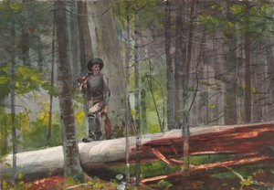  tekijältä Winslow Homer