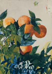Appelsiinit oksalla, 1885