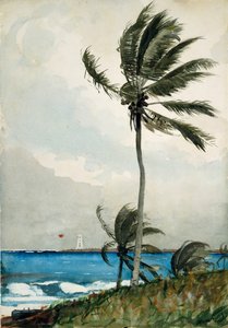 Palmu, Nassau, 1898. tekijältä Winslow Homer