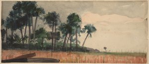 Palmut, punainen tekijältä Winslow Homer