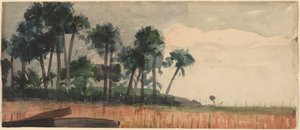 Palmut, punainen, 1890. tekijältä Winslow Homer