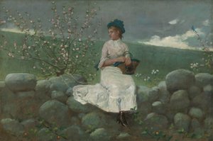Persikkakukkia, 1878. tekijältä Winslow Homer