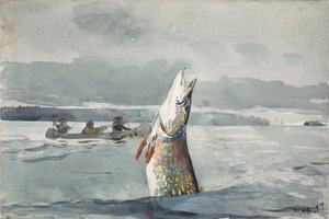  St. John -järvi tekijältä Winslow Homer