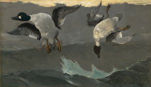 Oikea vasen tekijältä Winslow Homer