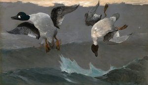  tekijältä Winslow Homer