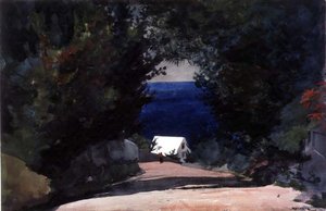 Tie Bermudalla, n. 1899-1901 (akvarelli kynällä paperille) tekijältä Winslow Homer