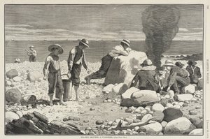  tekijältä Winslow Homer