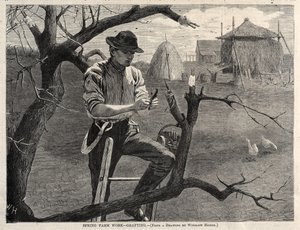  tekijältä Winslow Homer