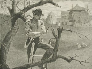  tekijältä Winslow Homer