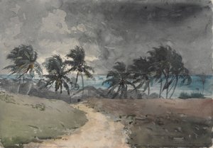 Myrsky, Bahama tekijältä Winslow Homer