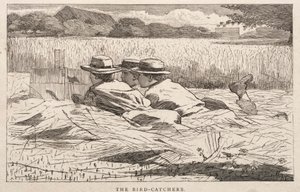 Lintujen sieppaajat tekijältä Winslow Homer