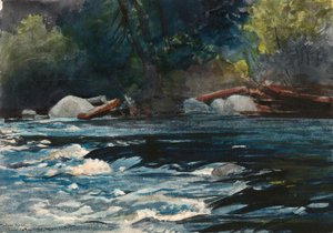 Rapids, Hudson River, Adirondacks tekijältä Winslow Homer